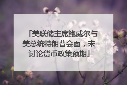 美联储主席鲍威尔与美总统特朗普会面，未讨论货币政策预期