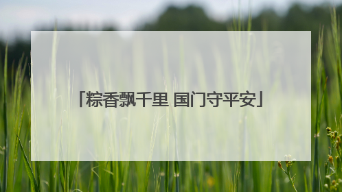 粽香飘千里 国门守平安