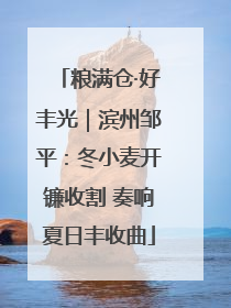 粮满仓·好丰光｜滨州邹平：冬小麦开镰收割 奏响夏日丰收曲