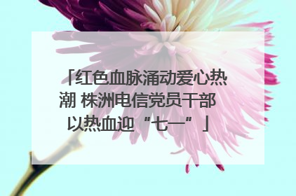红色血脉涌动爱心热潮 株洲电信党员干部以热血迎“七一”