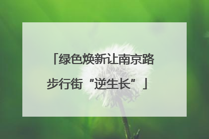 绿色焕新让南京路步行街“逆生长”