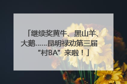 继续奖黄牛、黑山羊、大鹅……昆明禄劝第三届“村BA”来啦！
