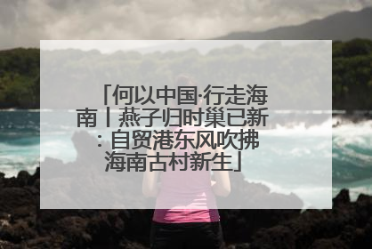 何以中国·行走海南丨燕子归时巢已新：自贸港东风吹拂 海南古村新生