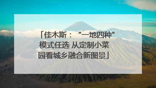 佳木斯：“一地四种” 模式任选 从定制小菜园看城乡融合新图景