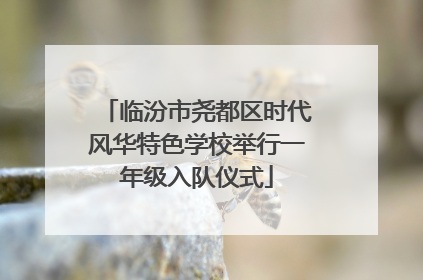 临汾市尧都区时代风华特色学校举行一年级入队仪式