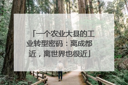 一个农业大县的工业转型密码：离成都近，离世界也很近