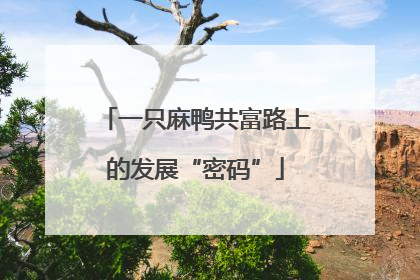 一只麻鸭共富路上的发展“密码”