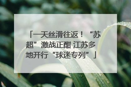 一天丝滑往返！“苏超”激战正酣 江苏多地开行“球迷专列”