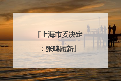 上海市委决定：张鸣履新