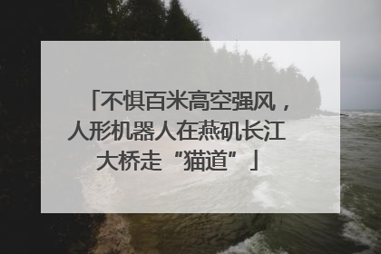 不惧百米高空强风，人形机器人在燕矶长江大桥走“猫道”