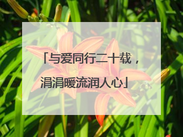 与爱同行二十载，涓涓暖流润人心