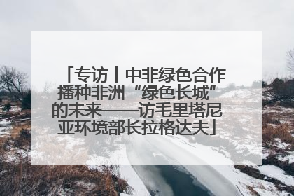 专访丨中非绿色合作播种非洲“绿色长城”的未来——访毛里塔尼亚环境部长拉格达夫