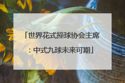 世界花式撞球协会主席：中式九球未来可期