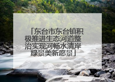 东台市东台镇积极推进生态河道整治实现河畅水清岸绿景美新愿景