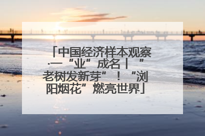 中国经济样本观察·一“业”成名丨“老树发新芽”！“浏阳烟花”燃亮世界
