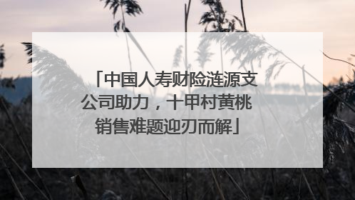 中国人寿财险涟源支公司助力，十甲村黄桃销售难题迎刃而解