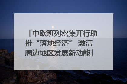 中欧班列密集开行助推“落地经济” 激活周边地区发展新动能