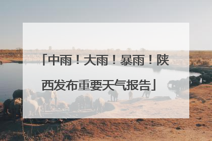 中雨！大雨！暴雨！陕西发布重要天气报告