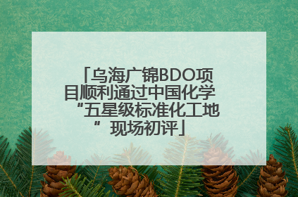 乌海广锦BDO项目顺利通过中国化学“五星级标准化工地”现场初评