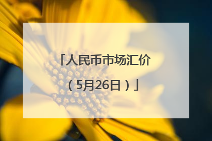 人民币市场汇价（5月26日）