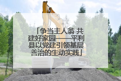 争当主人翁 共建好家园——平利县以党建引领基层善治的生动实践