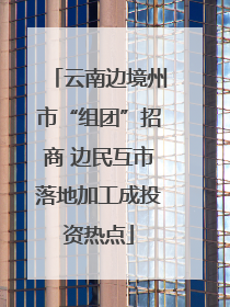 云南边境州市“组团”招商 边民互市落地加工成投资热点