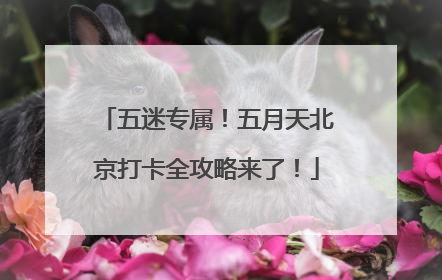五迷专属！五月天北京打卡全攻略来了！