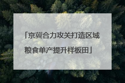 京冀合力攻关打造区域粮食单产提升样板田