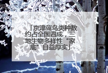 京津冀鸟类种数约占全国四成，三地生物多样性“家底”日益厚实
