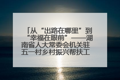 从“出路在哪里”到“幸福在眼前”——湖南省人大常委会机关驻五一村乡村振兴帮扶工作队书写振兴答卷