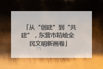 从“创建”到“共建”，东营市精绘全民文明新画卷