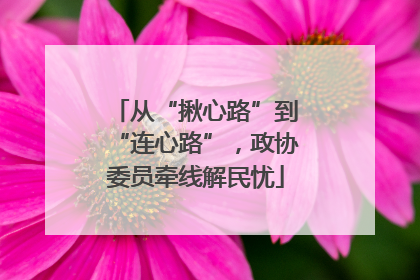 从“揪心路”到“连心路”，政协委员牵线解民忧