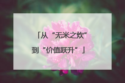 从“无米之炊”到“价值跃升”