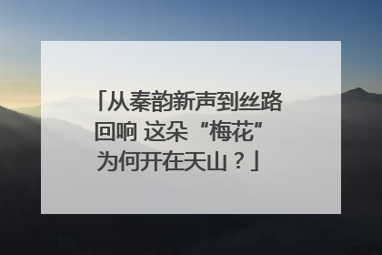 从秦韵新声到丝路回响 这朵“梅花”为何开在天山？