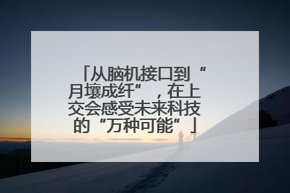 从脑机接口到“月壤成纤”，在上交会感受未来科技的“万种可能”