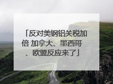 反对美钢铝关税加倍 加拿大、墨西哥、欧盟反应来了