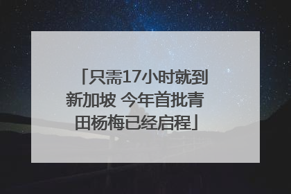 只需17小时就到新加坡 今年首批青田杨梅已经启程