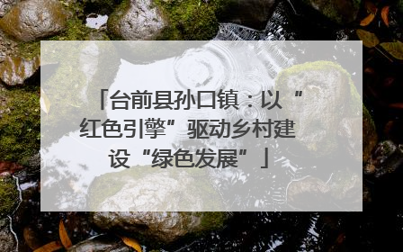 台前县孙口镇：以“红色引擎”驱动乡村建设“绿色发展”