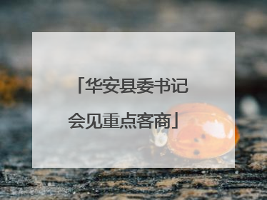 华安县委书记会见重点客商