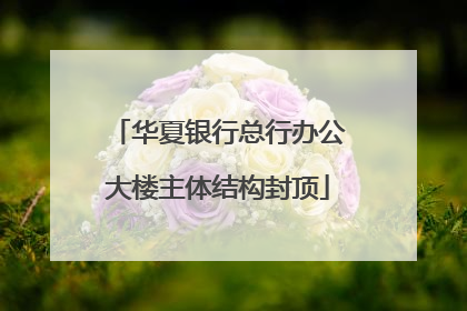 华夏银行总行办公大楼主体结构封顶