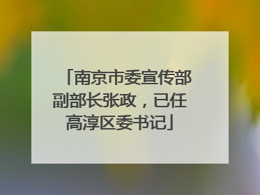 南京市委宣传部副部长张政，已任高淳区委书记
