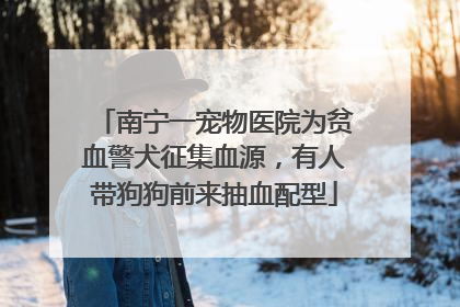 南宁一宠物医院为贫血警犬征集血源，有人带狗狗前来抽血配型