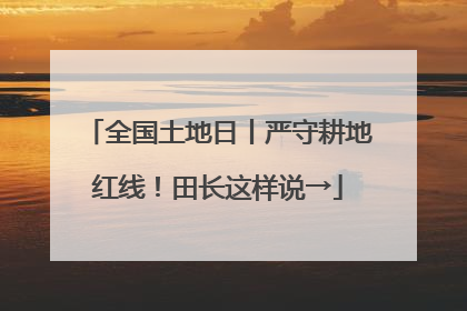 全国土地日丨严守耕地红线！田长这样说→