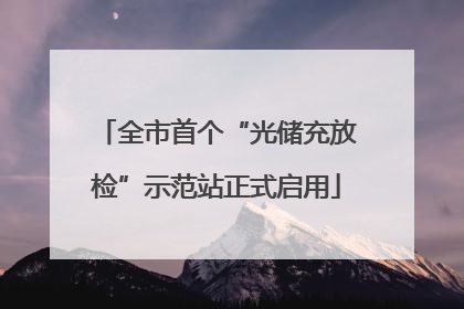 全市首个“光储充放检”示范站正式启用