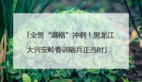 全警“满格”冲刺！黑龙江大兴安岭春训砺兵正当时