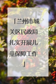 兰州市城关区民政局扎实开展儿童保障工作