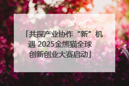 共探产业协作“新”机遇 2025金熊猫全球创新创业大赛启动