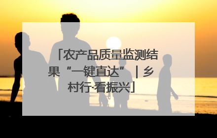 农产品质量监测结果“一键直达”｜乡村行·看振兴