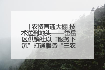 农资直通大棚 技术送到地头——岱岳区供销社以“服务下沉”打通服务“三农”最后一公里