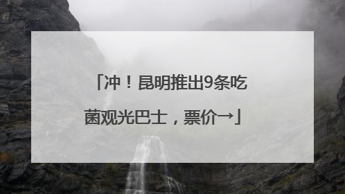 冲！昆明推出9条吃菌观光巴士，票价→